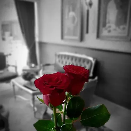 اليزيون فندق 2*